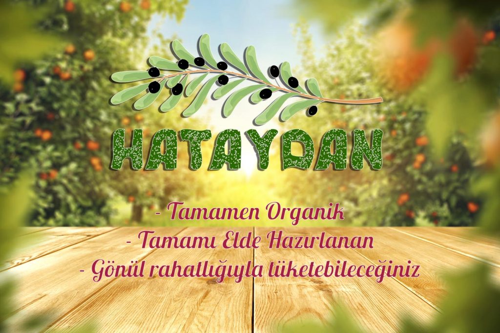 hataydancom2 1024x683 1 Hataydan